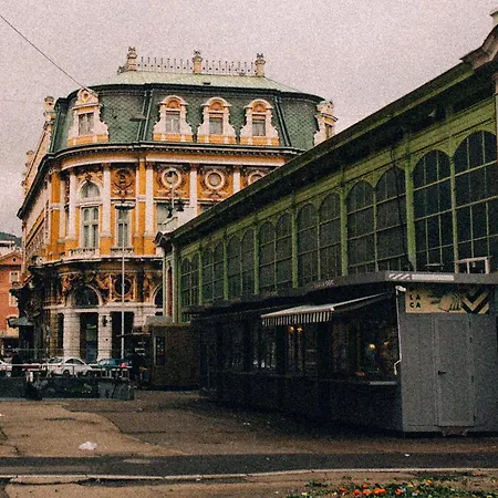 Amber * Rijeka