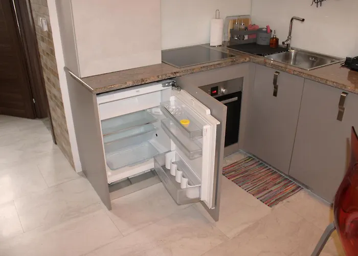 公寓 Amber 里耶卡